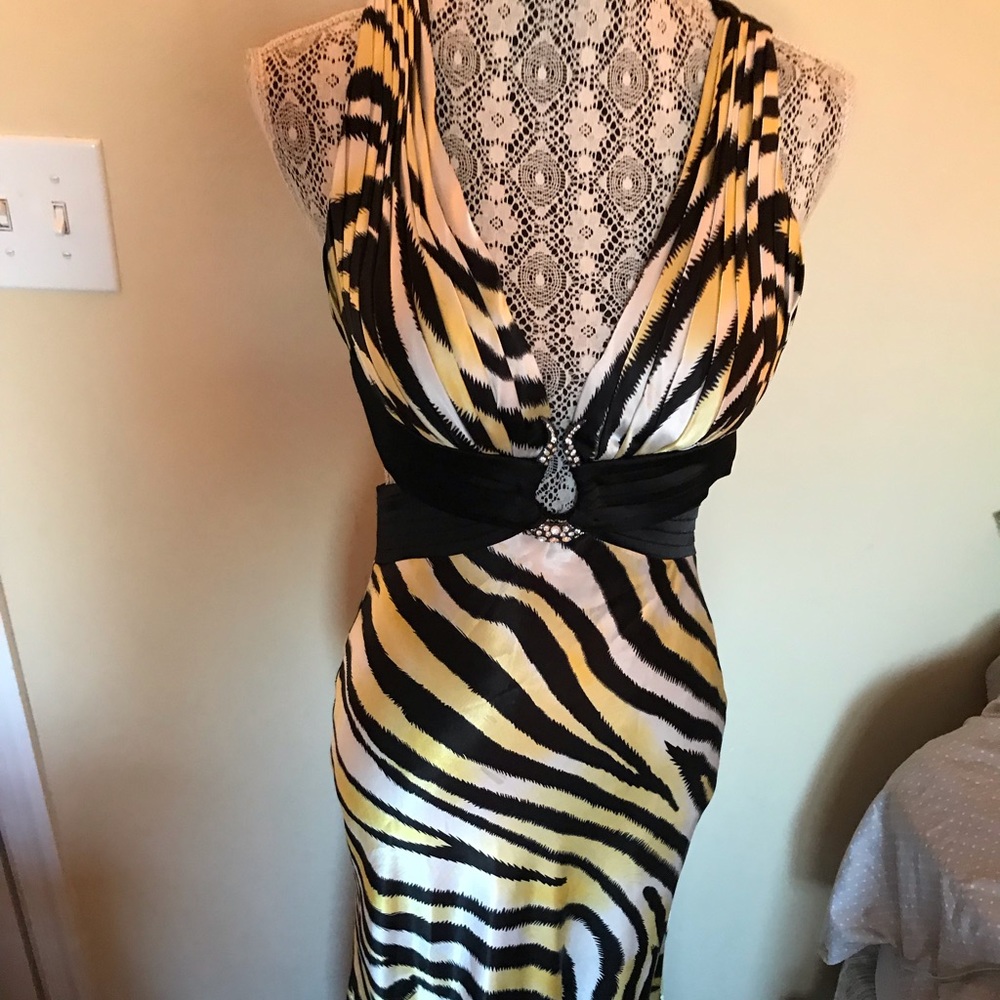 Zebra Pattern Gown - image 1